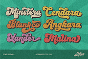 Zelonka, a Script Font by ahweproject (Thumbnail 7 of 21)