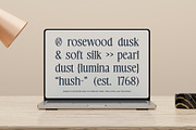 CS Randle – Classic Font, a Serif Font by Craft Supply Co. (Thumbnail 7 of 8)