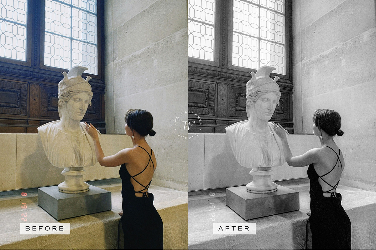 5 B&W LR Presets + Video LUTs, a Preset Add-On by TheWayfarerShoppe (Photo 15 of 17)