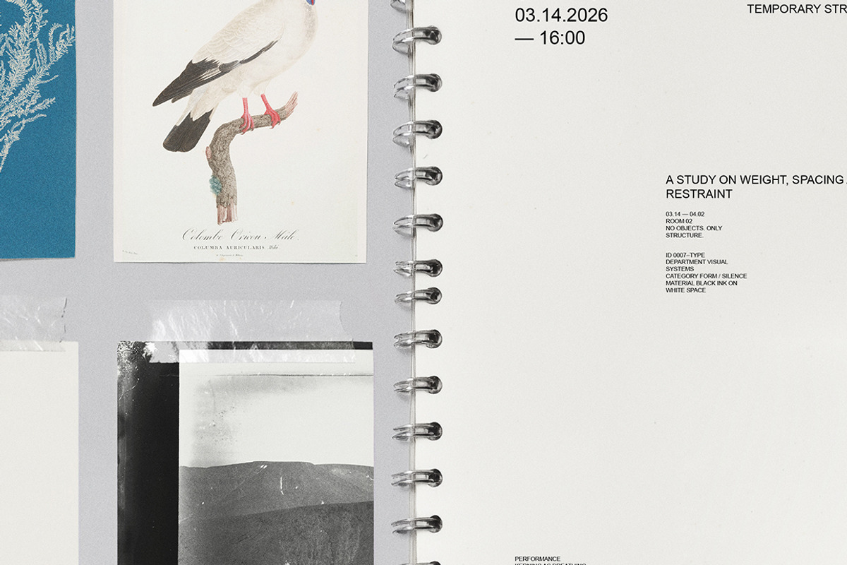 Notebook Collage Mockup, a Books & Magazine Mockup by nkate (Photo 2 of 7)