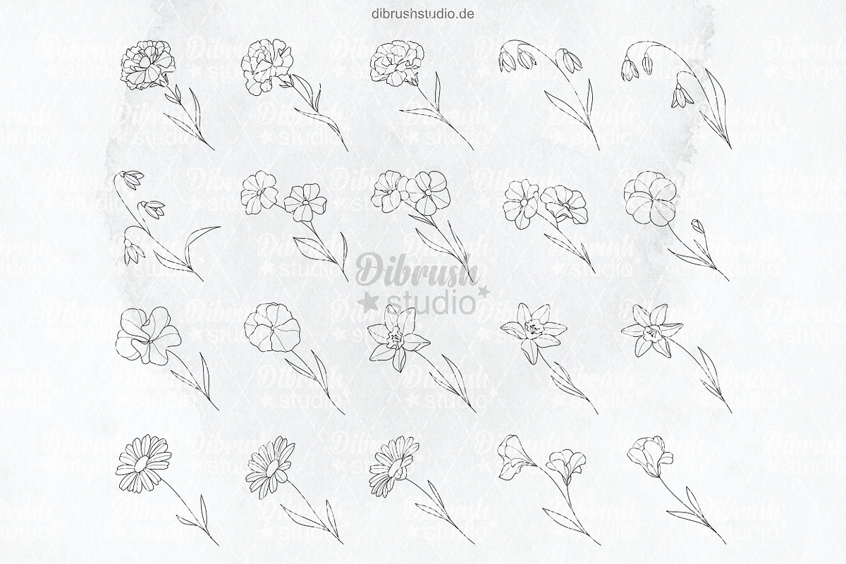 Procreate Birth Flowers Tattoo, a Brushes & More by DiBrush Studio (Photo 3 of 5)