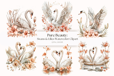Swan and Lilies Watercolor Clipart