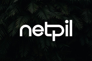 Netpil - Elegant Logo Font, a Sans Serif Font by Artiveko