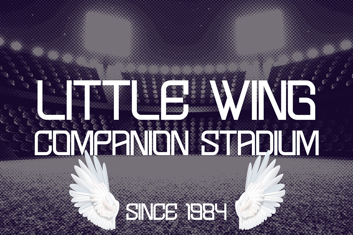 Picazo Display - Sporty Display Font, a Sans Serif Font by fluffstudio (Photo 7 of 9)