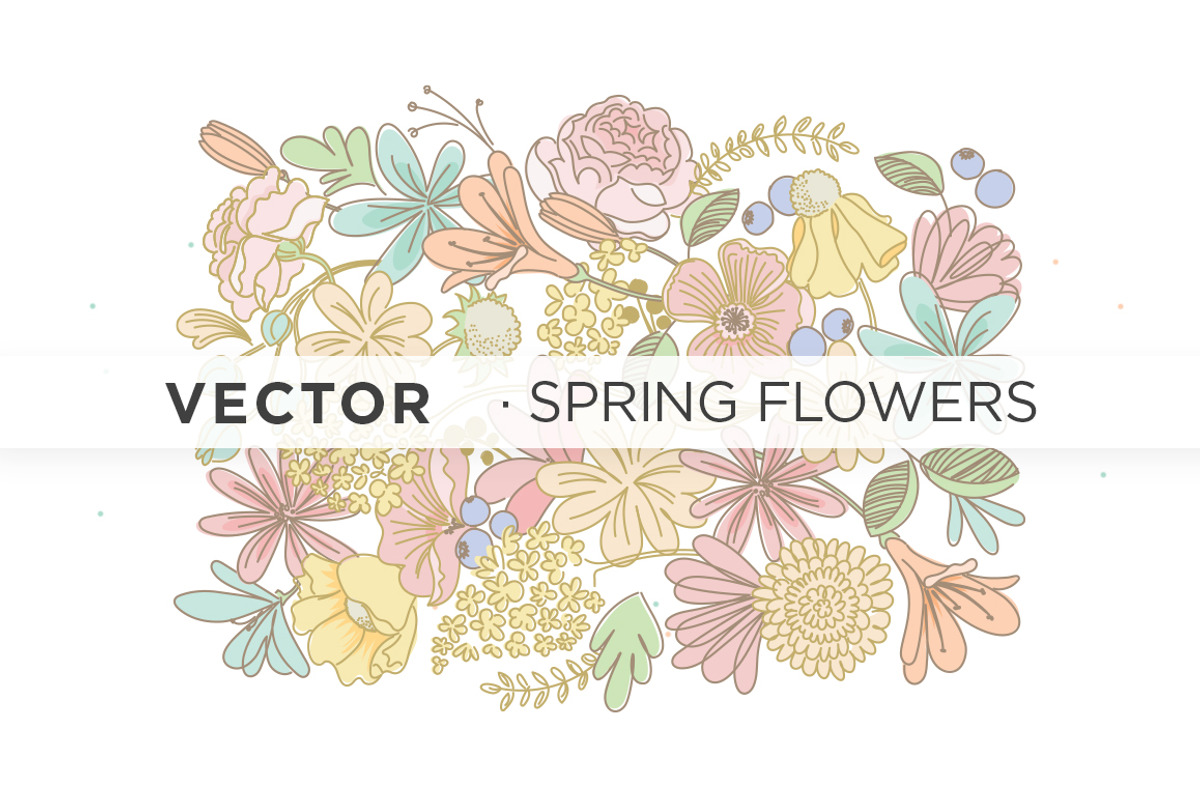 Spring Flowers . Vectors Ai, a Decorative Illustration by tomodachi studio (Photo 1 of 5)