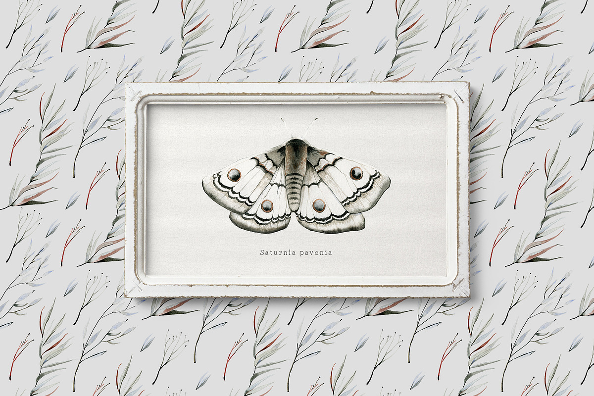 Mavra. Watercolor graphic set, a Decorative Illustration by Bibela (Photo 12 of 14)