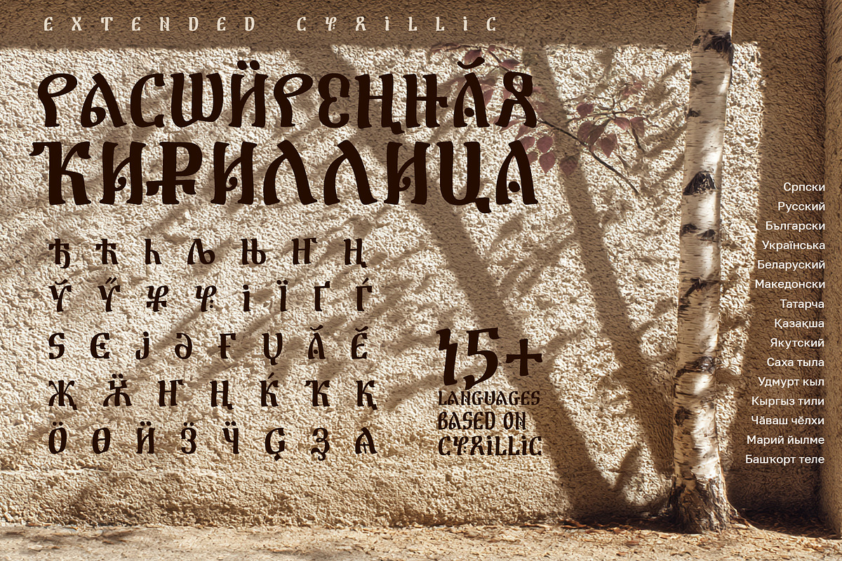 ST-Fidal african font, a Handwritten Font by Shimanov Types (Photo 3 of 5)