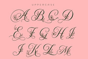 Alverose - Secret Garden Script, a Script Font by HypeWorksCo (Thumbnail 14 of 17)