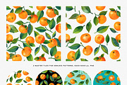 Watercolor Mandarin Fruits Vol. 2, a Food Illustration by Olga Begak Art & Design (Thumbnail 5 of 8)