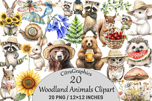 Watercolor Woodland Animals Clipart, an Illustration by CitraGraphics