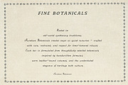 Antique Font Family Rustic Serif Duo, a Handwritten Font by Laras Wonderland (Thumbnail 5 of 18)