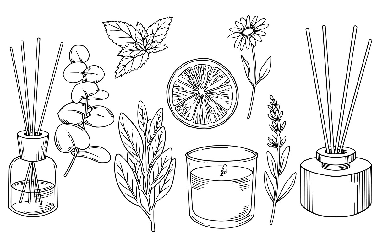 Aromatherapy. Medicinal herbs, a Healthcare Illustration by made by Tanya (Photo 3 of 6)