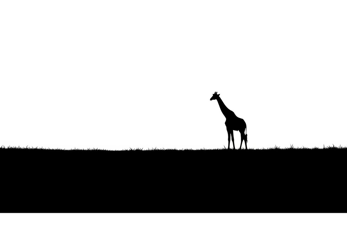 Giraffe Safari Silhouette Vector Bun, an Illustration by Designer_Momina (Photo 43 of 51)