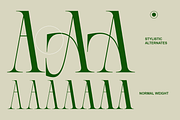 AT Paskalara, a Font by ArimaType (Thumbnail 6 of 10)