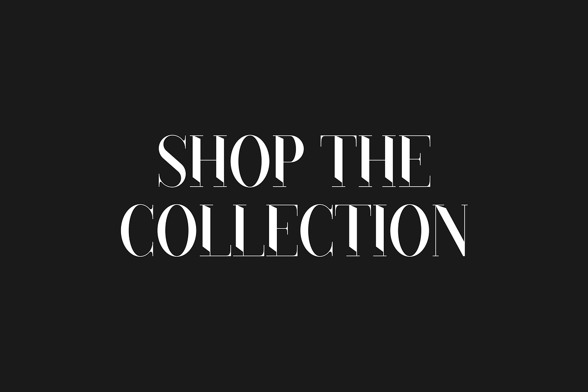 Black Goose Typeface - 5 fonts, a Serif Font by VP Fonts (Photo 14 of 15)