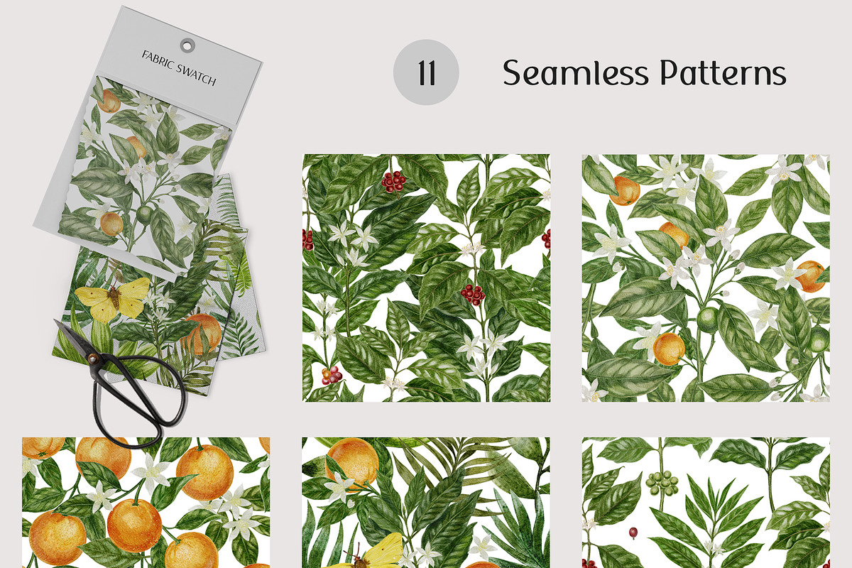 Botanical Watercolor Collection, a Pattern Graphic by mila_leev (Photo 3 of 13)