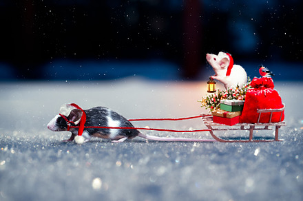 Christmas mouses with a sleigh full