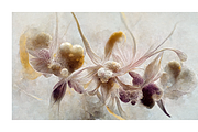 Orid Co. Orchid Flower art, a Texture Illustration by milatovar (Thumbnail 10 of 16)