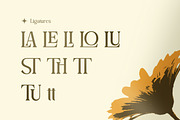 Latherva - Elegant Serif Family Font, a Serif Font by Flawless And Co (Thumbnail 9 of 10)