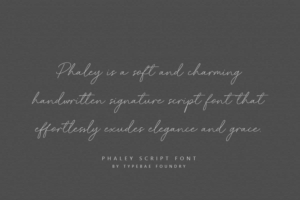 Phaley Signature Script Font, a Script Font by Typebae (Photo 5 of 8)