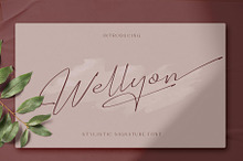 Wellyon Script signature