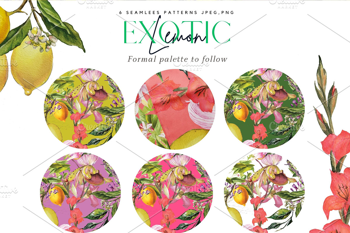 The Exotic Lemon Collection, an Object Illustration by Alisa Mikibith Art (Photo 4 of 18)