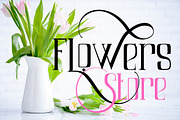 Air Leving, a Serif Font by Bramcreative (Thumbnail 10 of 10)