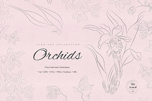 Orchids. Line Art Collection. Sale