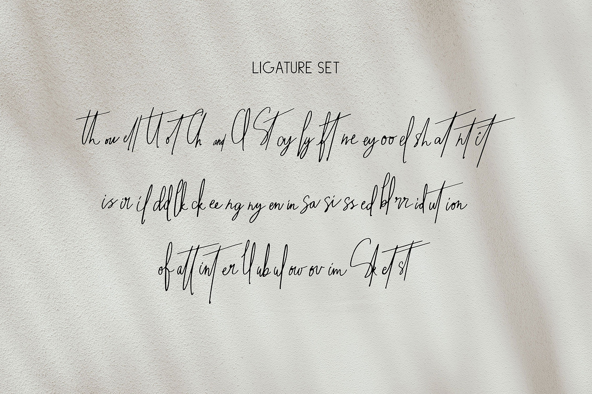 The Maestro - Signature Classic Font, a Script Font by Graphiqa Studio (Photo 10 of 11)