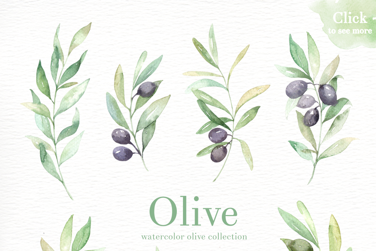 Olive Watercolor clipart, an Illustration by everysunsun (Photo 2 of 4)