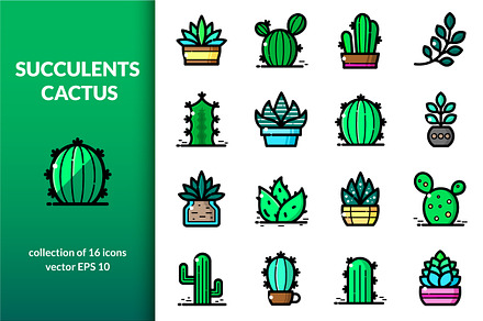 Succulents and Cactuses