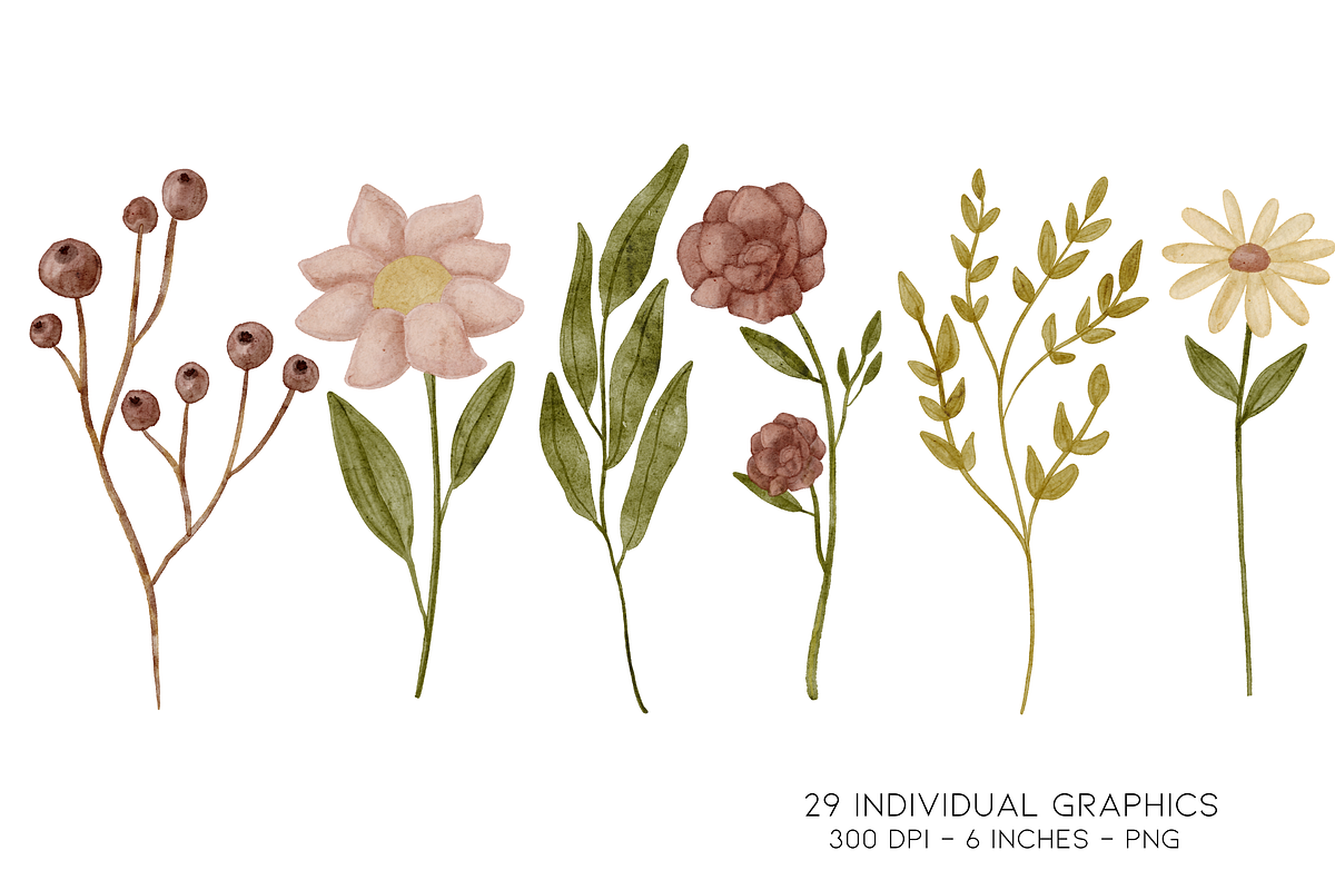Watercolor Wild Flower Clipart, a Decorative Illustration by Murphy & Frank (Photo 6 of 9)