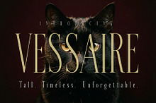 VESSAIRE - Elegant Tall Serif