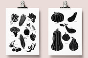 Autumn Bundle: Kitchen and Garden, a Food Illustration by Mii Lab (Thumbnail 4 of 28)