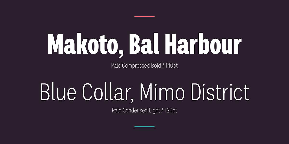 Palo, a Sans Serif Font by TypeUnion (Photo 17 of 17)