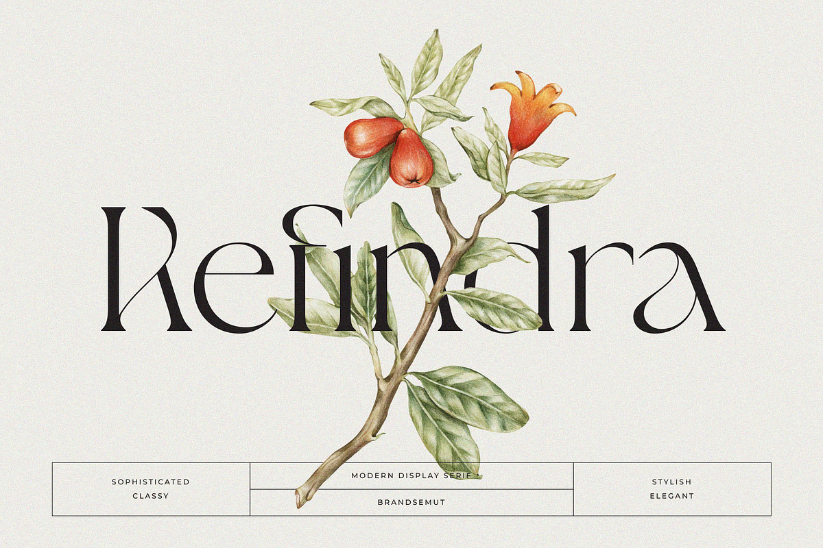 Giflika // Modern Display Serif, a Serif Font by BrandSemut (Photo 5 of 11)