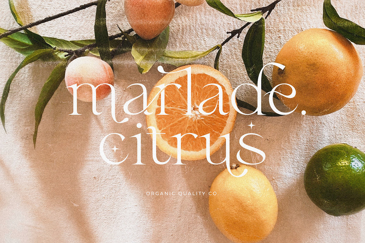 Fragile - Modern Serif, a Serif Font by Sans & Sons (Photo 8 of 10)