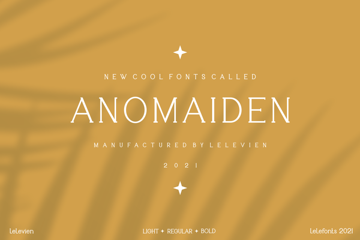 ANOMAIDEN MODERN SERIF FONT FAMILY, a Serif Font by lelevien (Photo 1 of 2)