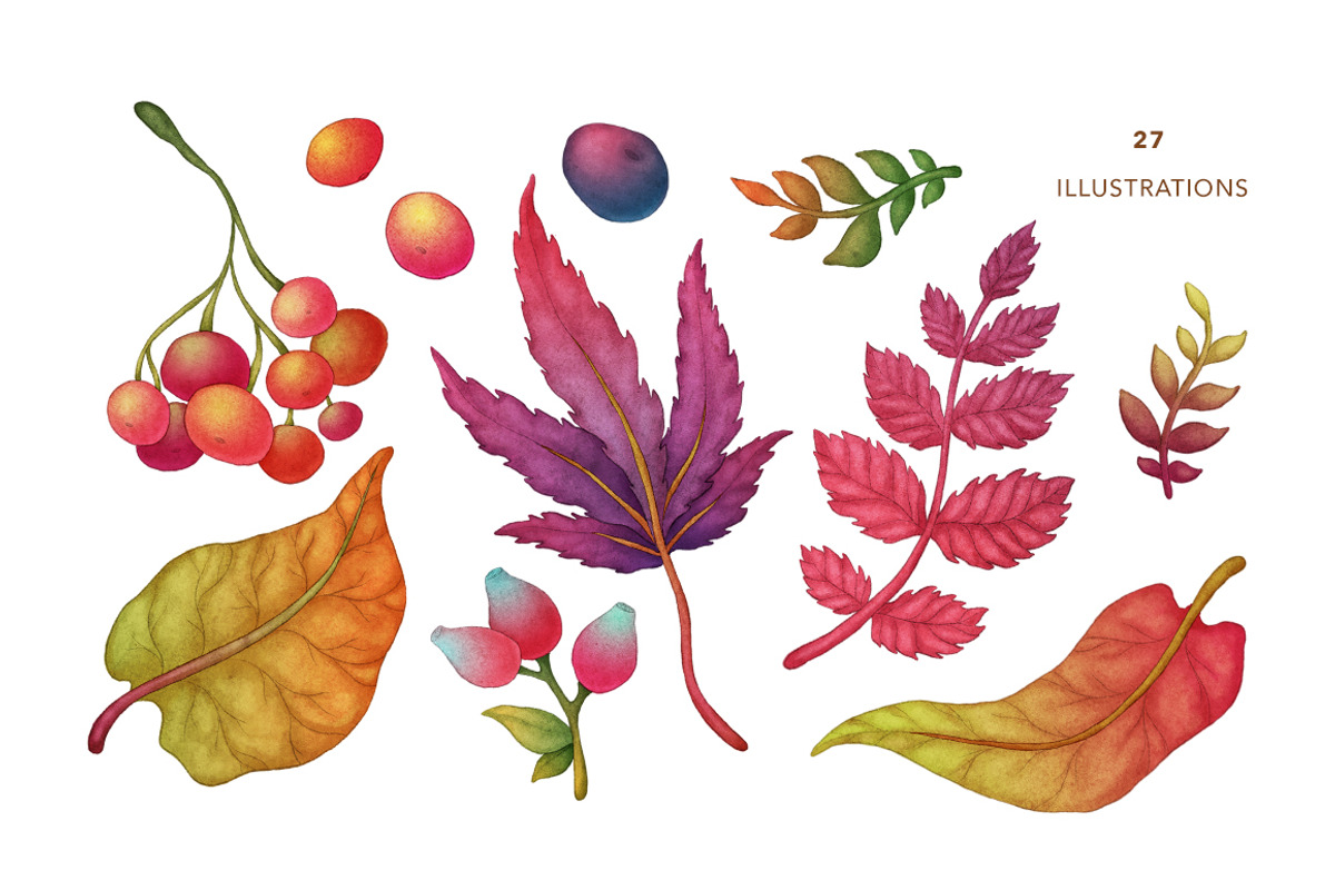 Autumn Forest, Fall Collection, an Object Illustration by Olga Olmix (Photo 2 of 4)