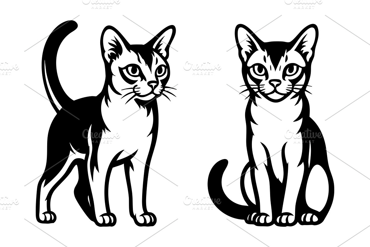 Singapura cats. pet., an Animal Illustration by yod67