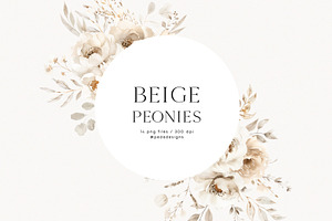 Beige Peonies