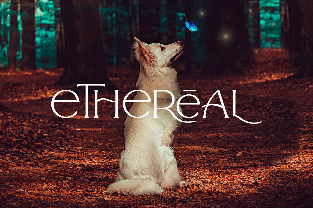 Arrogant Font, a Serif Font by Graphicdome (Photo 20 of 24)