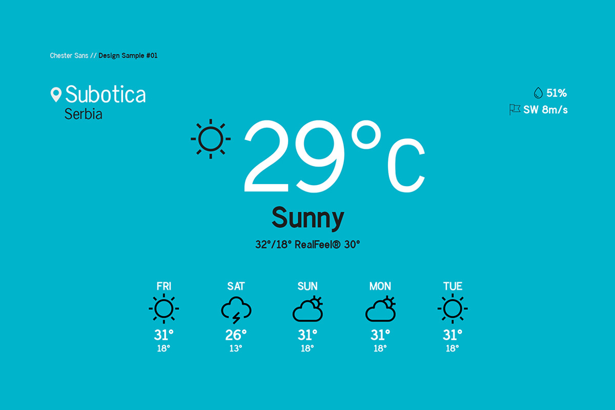 Chester Sans - Type Family, a Sans Serif Font by BorisG (Photo 9 of 13)