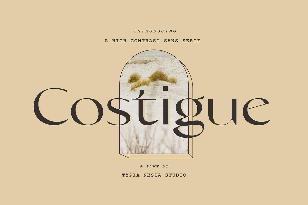 Costigue Luxury Sans, a Sans Serif Font by Typia Nesia (Photo 1 of 12)