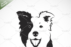 Vector Of A Border Collie Dog. Pet.