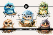 Grumpy Bird in Nest PNG Clipart, an Animal Illustration by Geniecreativestudio (Thumbnail 1 of 9)