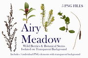 Airy Meadow – Wild Berries & Botanic, an Object Graphic by Aga Silva (Thumbnail 3 of 5)