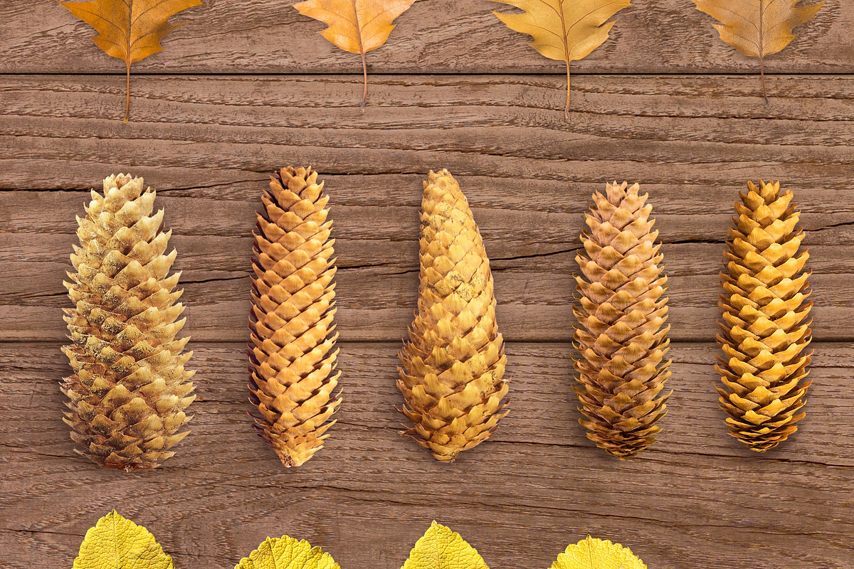 Autumn Floral Mockup, an Object Graphic by uncle-rico (Photo 6 of 12)