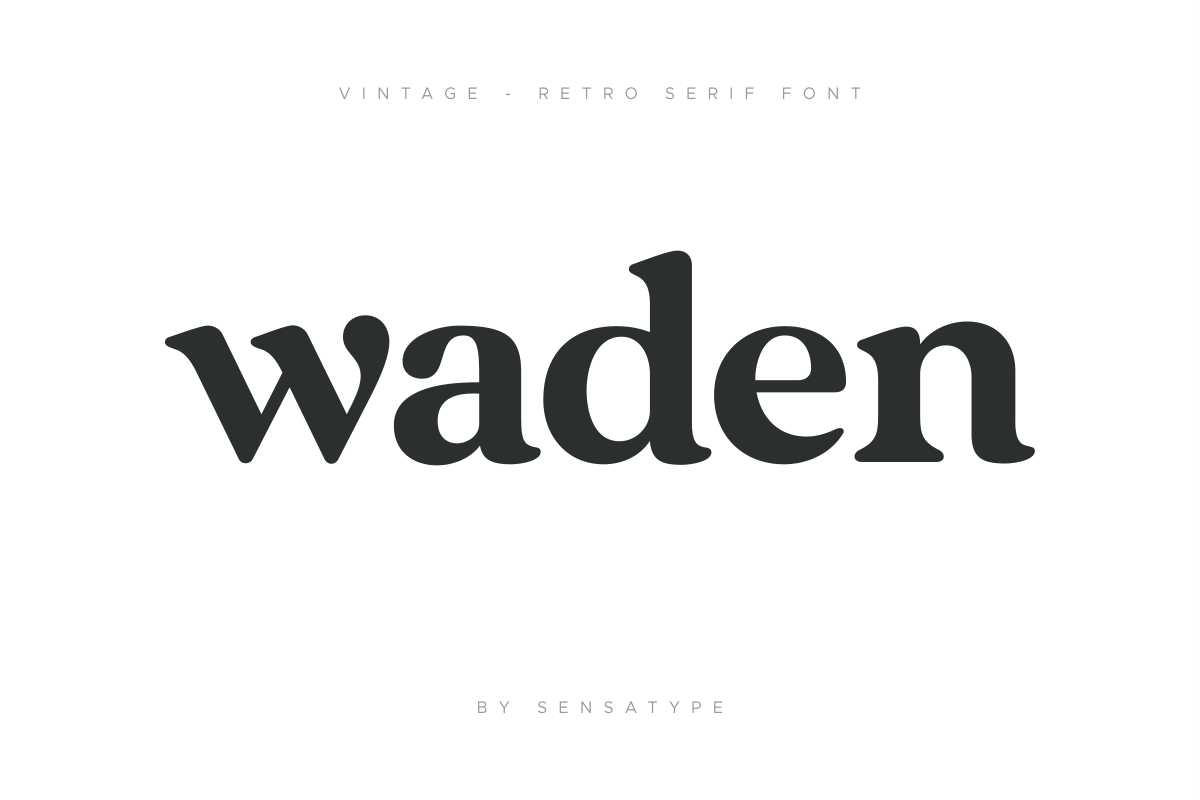 Vintage - Retro Serif Font
