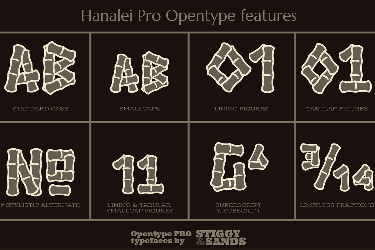 Hanalei Pro Family, a Sans Serif Font by Stiggy & Sands (Photo 8 of 9)